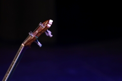 Shared Notes DNLF 2025