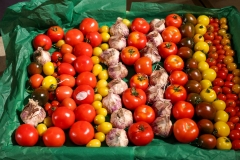 Chefs for Seasons Abbey Court Hotel