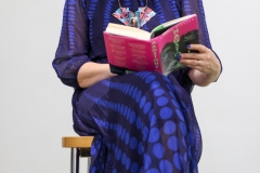 Recent Fiction DNLF 2024