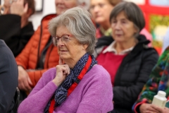 Recent Fiction DNLF 2024