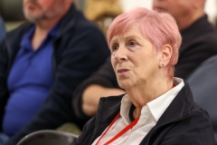 Recent Fiction DNLF 2024