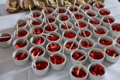 DNLF Summer Event