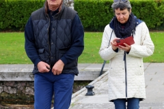 The Great Irish Biodiversity Book