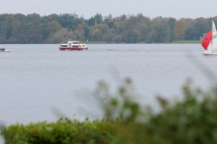 The Great Irish Biodiversity Book