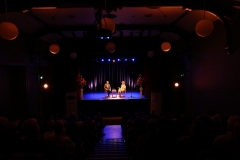 The Revelation of Ireland DNLF 2024